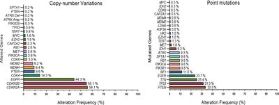 Metabolic Rewiring in Glioblastoma Cancer: EGFR, IDH and Beyond